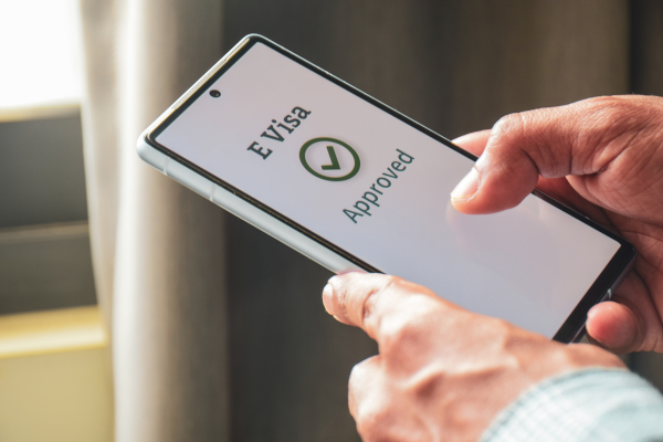 What is an EVisa and how to apply?